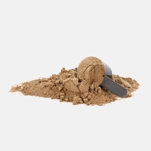 Lorem Ipsum Dolor Sit Amet